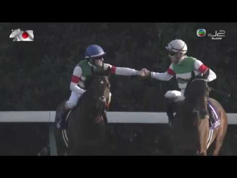 2018 秋季天皇賞 Rey de Oro 金之霸 レイデオロ