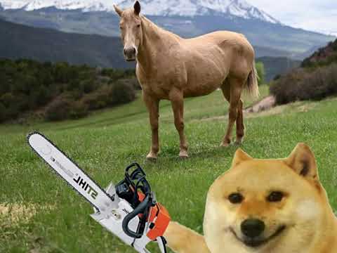 🏝🏖🌅🛥 (2022 SUMMER 🤡💩 ANTHEM) Accura 🏎 da Integgra FT. 1️⃣ 1man - “GOOe” SLOWED TO PERFECTION