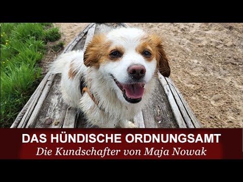 Das hündische Ordnungsamt - "Die Kundschafter" - Eine Spirale nach oben - von Maja Nowak
