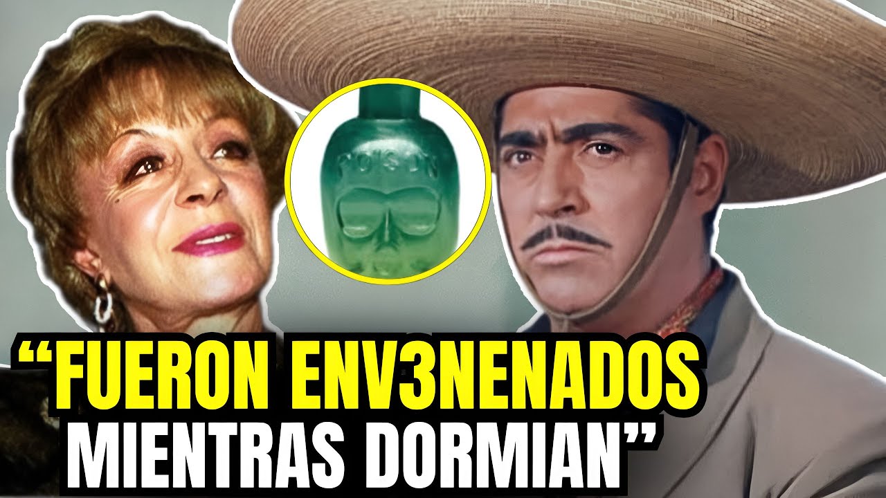 YouTube Thumbnail Downloader FULL HQ IMAGE