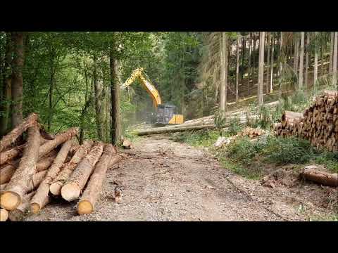 Hünstetten-Görsroth 2019