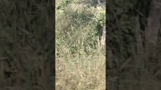 Agricultural Land for Sale in Hingna, Nagpur