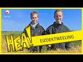 HEA: Kievitseieren zoeken met Menno en Nico