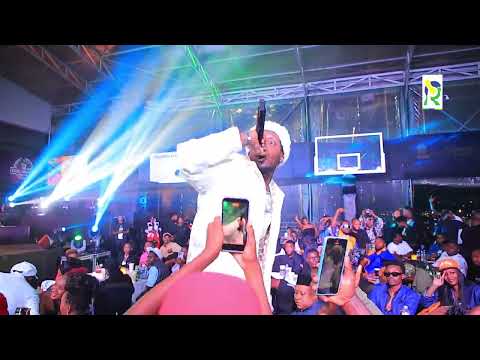 vp-g13