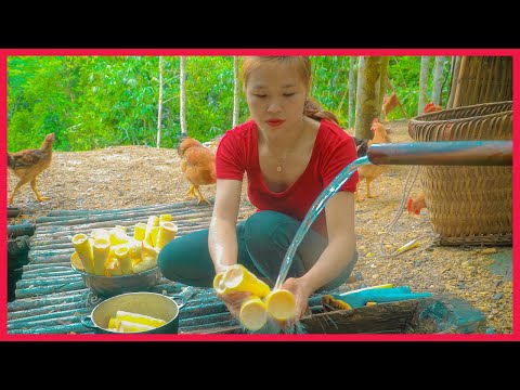 FULL VIDEO: How to build a farm life in 200 days, Gardening. Building farm, free Life (ep100)