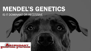 Mendel's Genetics: Dominant or Recessive