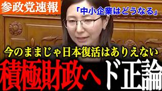 【参政党】積極財政に物申す！本当に積極財政なのか？今の消費税や子育て支援について鋭い意見を行います。消費税のあり方とはなんなのか。【神谷宗幣/国会討論/自民党】
