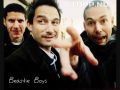 Beastie Boys - U Gotta Fight (Soundaholix Remix ...