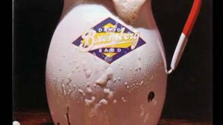 David Bromberg - Sloppy Drunk