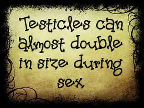 Chandelier - Sad Clown Cover with Lyrics and James Bond