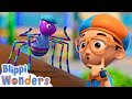 Blippi Learns About Spiders More Blippi Wonders Animated Series Cartoons For Kids