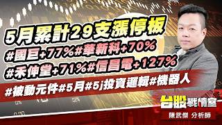5月累計29支漲停板#國巨+77%#華新科+70%#禾伸堂+71%#信昌電+127%#被動元件#5月#5j投資邏輯#機器人｜小武哥投資事務所｜陳武傑 (圖)