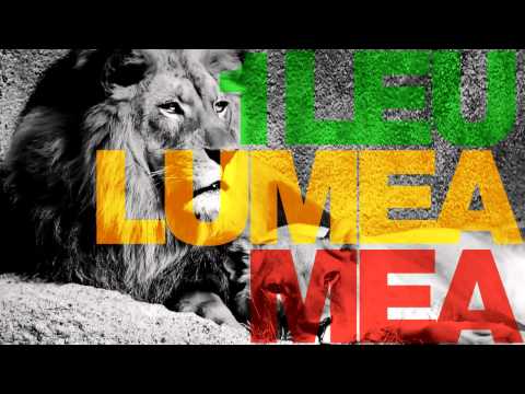 One Lion - Lumea Mea