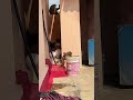 Monkey Drinking Water Trending Ytshorts Shorts