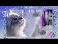 Весна пришла 