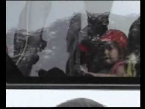 excursio a la granja de pollets