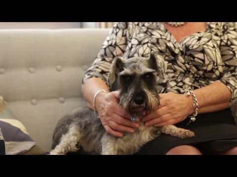 Barking Mad - Glasgow, Falkirk and Stirling video.