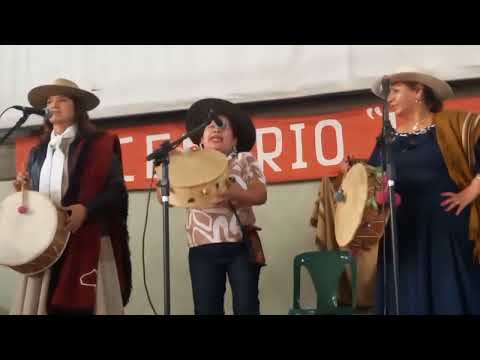 Coplita a Isla de Cañas rinconcitos salteño