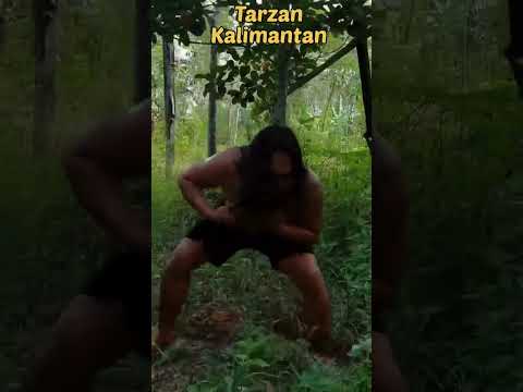 tarzan-kalimantan