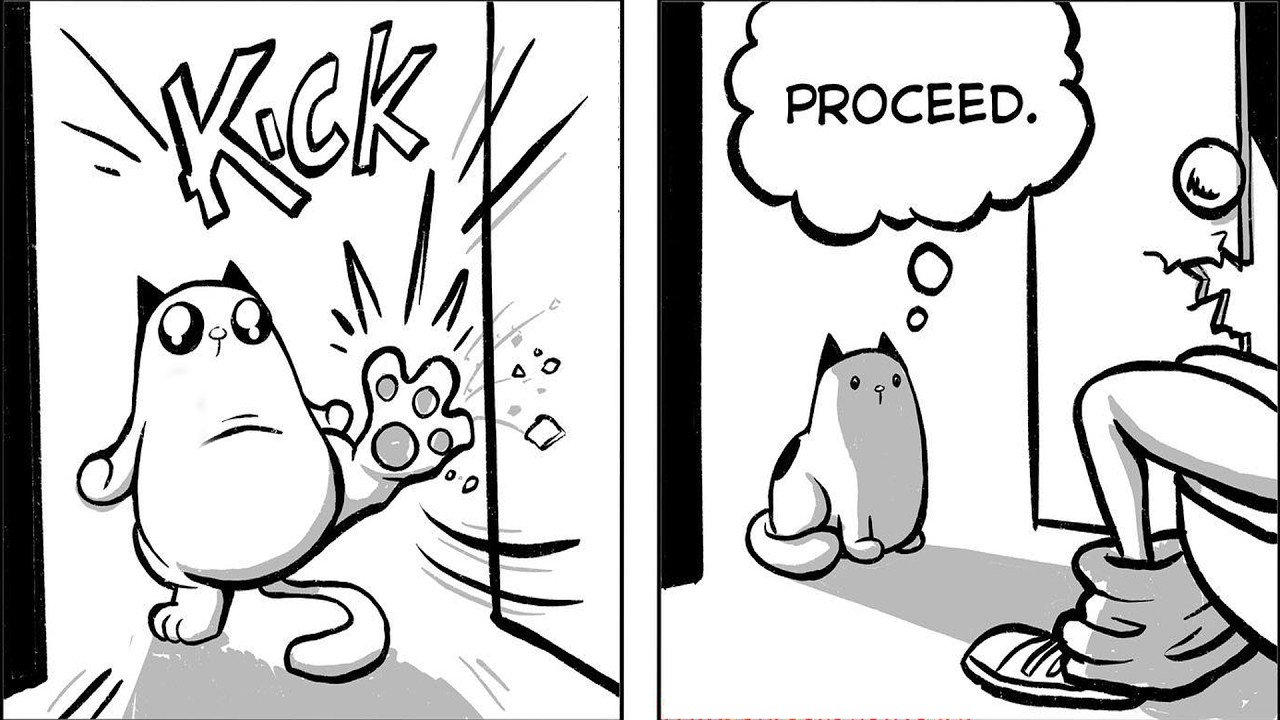 Artist Illustrates Hilarious Moments In The Life Of Every Cat Owner || Funny comics #5