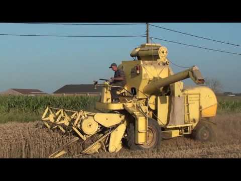 Loonw. Vanacker - Watou - Maaidorsen - Clayson M80