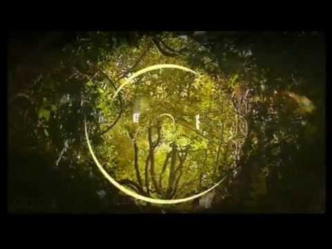 BBC One NE & Cumbria: Idents (June 2015)