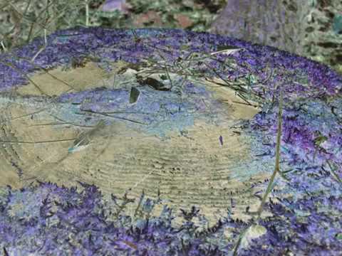 Jim Cole-Celestial Tides ~ Overtone Singing ~ Mesmerizing Sounds.