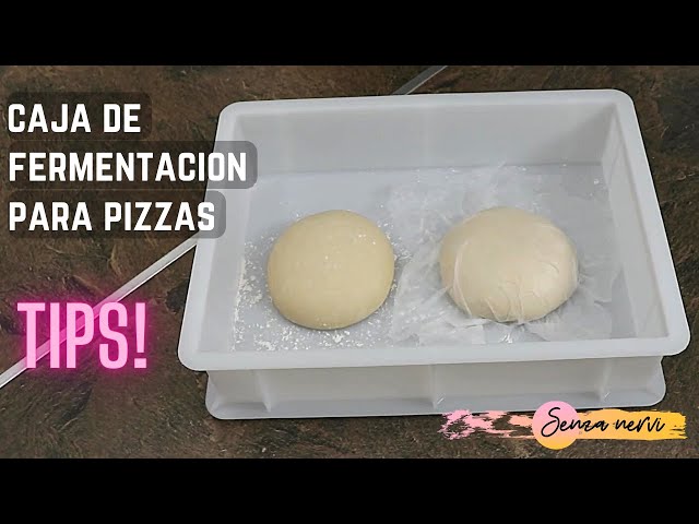 Vídeo relacionado con CookandSupply Contenedor para Fermentación de Pizza y Pan BPA-free - Caja para Masa Certificada de Grado Alimenticio - Made in Italy - 1 Caja Apilable 40x30x10 + 1 Tapa