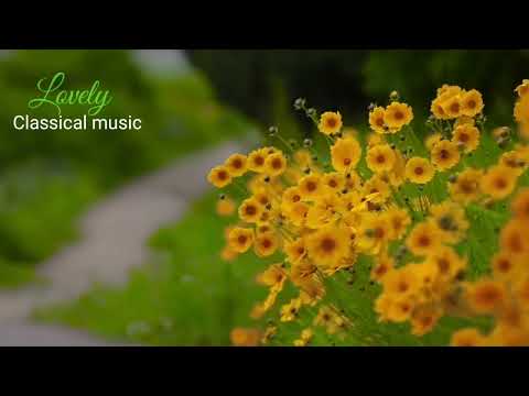 Flowers will make your Dream ,Calming music, Soothing music, Relaxing music, Goodbye Insomnia.💐🌺🌻