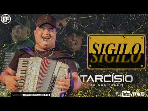 TARCÍSIO DO ACORDEON - SIGILO | ENTÃO FOGE COMIGO TO QUERENDO SEU CORPO |MÚSICA NOVA ATUALIZADA 2022