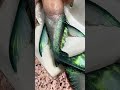 Mermaid Art Mermaid Mermaidlife Teborn Siren