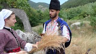 Куцина пазвантин
