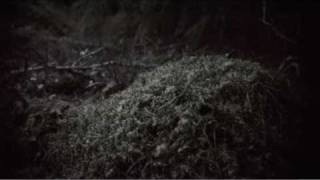 Audrey - Black Hearts