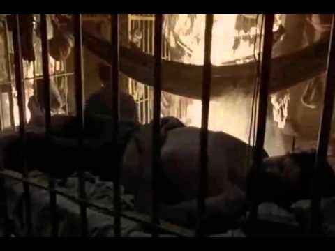 MC DALESTE HEROIS DA FAVELA   FODA 2012     DJ GA BHG PRODUCOES