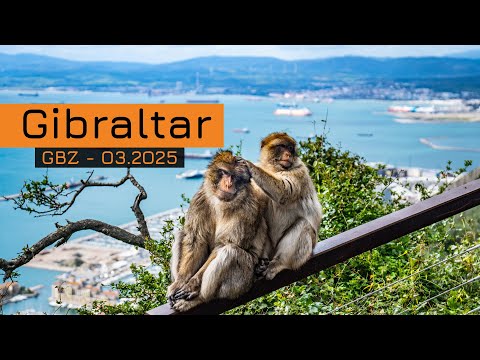 Gibraltar - trekking, najlepsze punkty widokowe i magoty