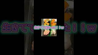 【すし】回転寿司 根室花まる ココノススキノ店行ってみた.. ＃北海道観光 ＃札幌すし ＃花まる #クラシック　#自律神経整える音楽 　＃北海道 ＃札幌  ＃ラーメン　#ススキノ