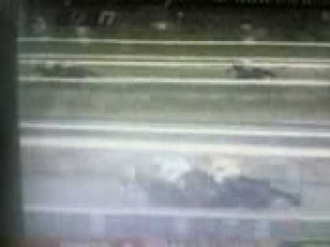 SYRINX - April 12, 2009