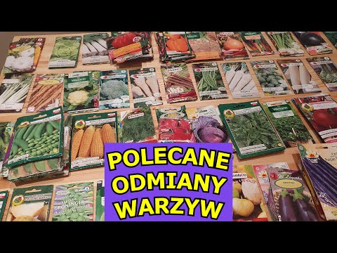 , title : 'Polecane Odmiany Pomidorów, Papryki, Ogórków, Cebuli, Pora i innych Warzyw na działkę rok 2023'