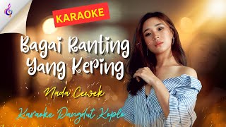 Download lagu BAGAI RANTING YANG KERING. KARAOKE DANGDUT KOPLO. NADA CEWEK mp3