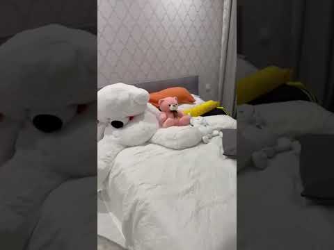 1-комнатная квартира в Черноморке, 48 м², ремонт, закрытая территория, 5 минут к морю