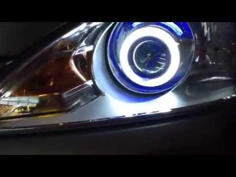 Ford Focus 2011 Install Projector Bi-Xenon