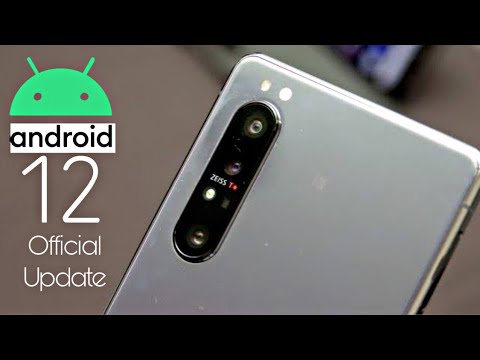 Sony Xperia 1 II Android 12 Update