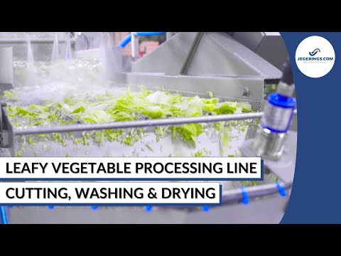 Salad Processing Line