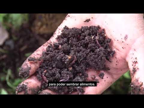 Regenerate the social & natural fabric in Oaxaca