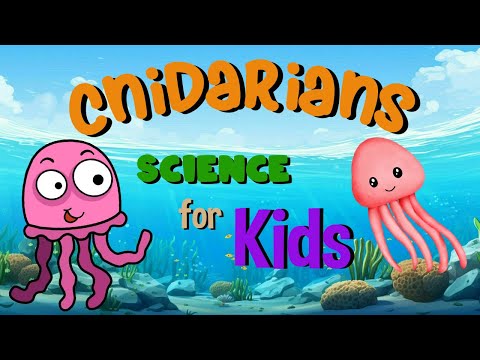 Cnidarians | Science for Kids