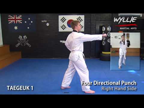 Four Directional Punch