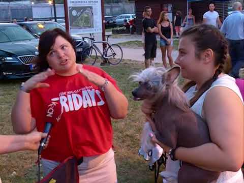 Smederevo na kinološkoj mapi sveta