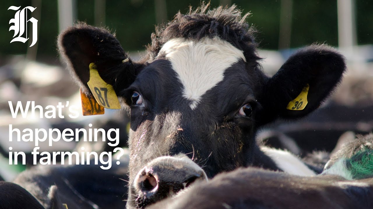 Rural round up: What's happening in farming | Herald NOW