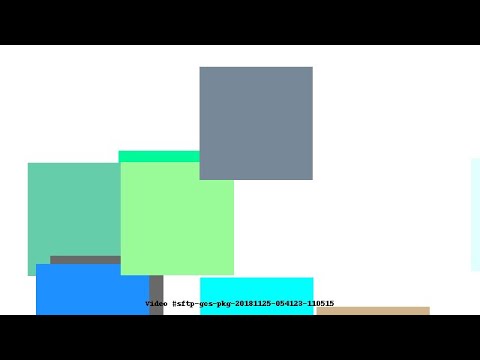 Video #sftp-gcs-pkg-20181125-054123-110515