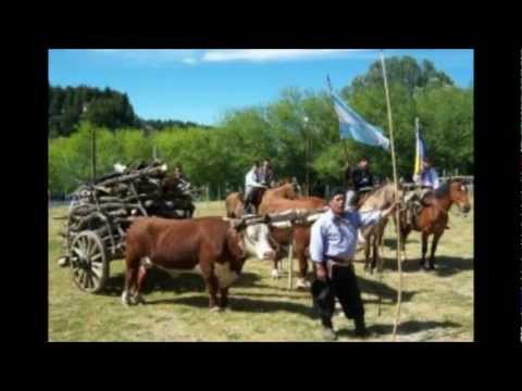 Zamba Natural video